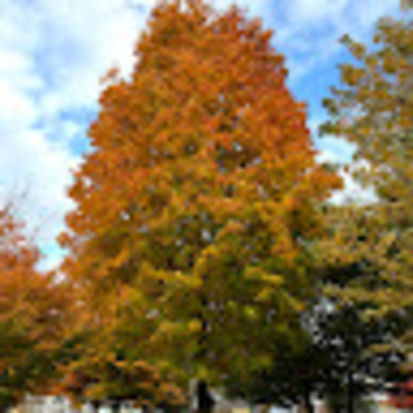 Meet your Posher, Selina - Picture 1 of 1